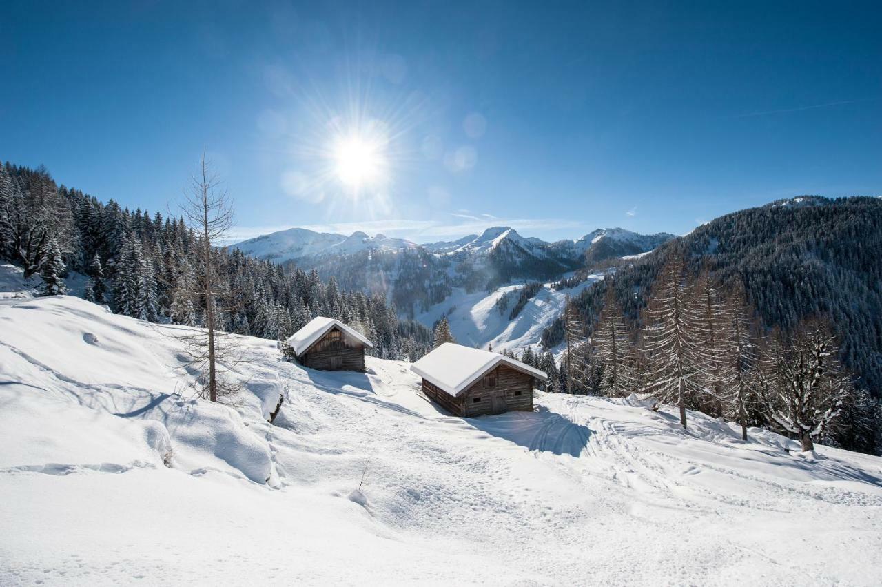 Апартаменти Lochgrubgut Альтенмаркт-ім-Понгау Екстер'єр фото